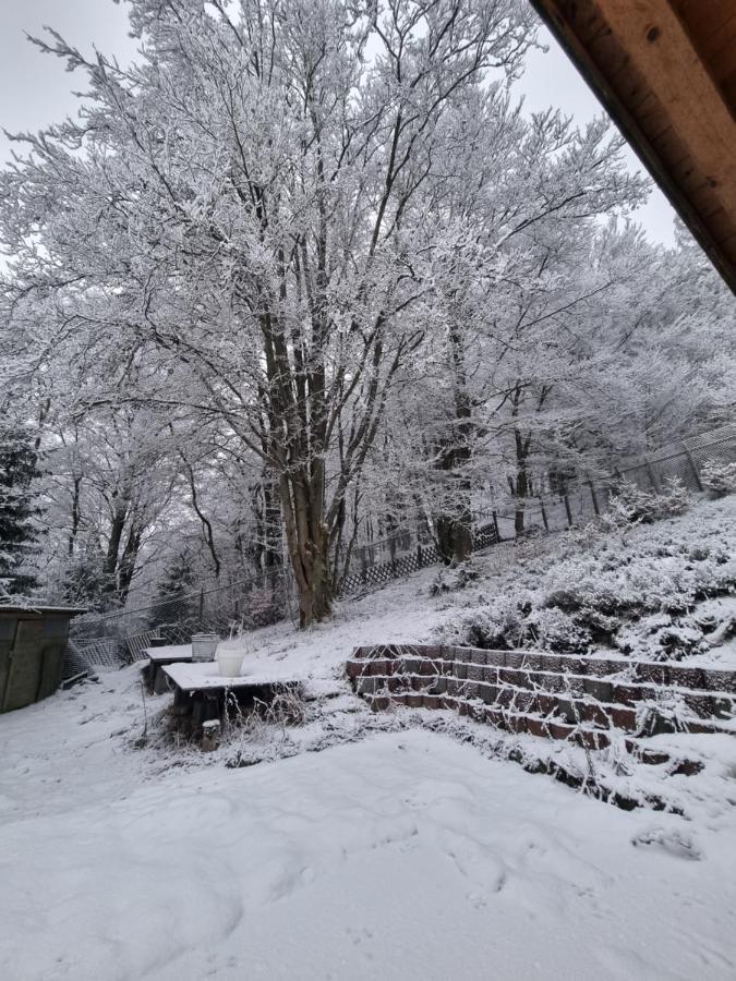 Ferienwohnung Schneeberg Stryck Zewnętrze zdjęcie